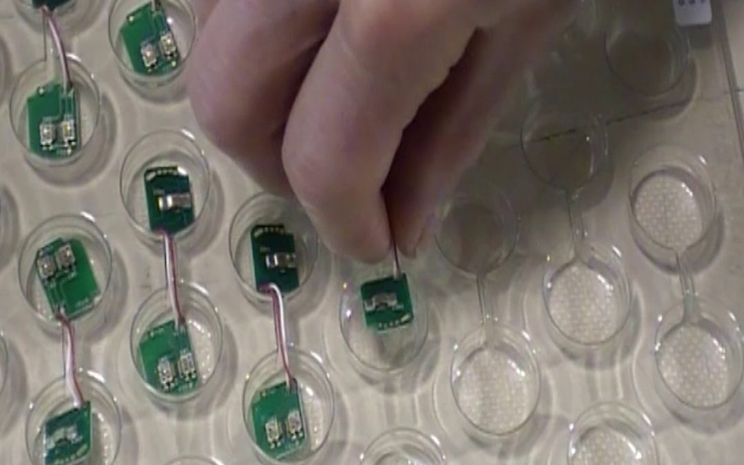 Z-AXIS Assembly PCBA Video